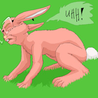 Sequence Image 23
