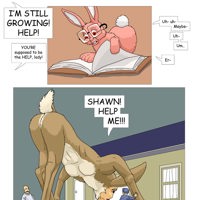 Sequence Image 41