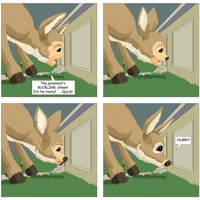 Sequence Image 42
