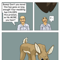 Sequence Image 43