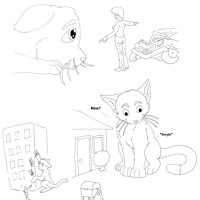 Sequence Image 1