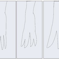 Sequence Image 3
