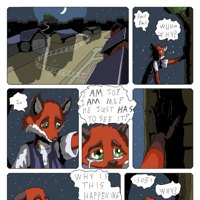 Sequence Image 12