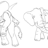 Sequence Image 9
