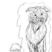 Sequence Image 6