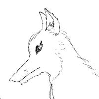 Sequence Image 7