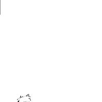 Sequence Image 11