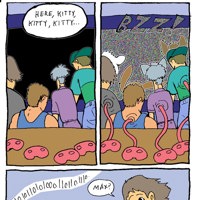 Sequence Image 2