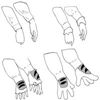 Sequence Image 3