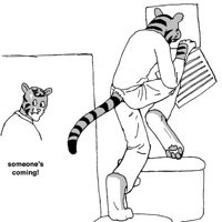 Sequence Image 6