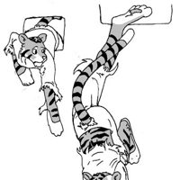 Sequence Image 7