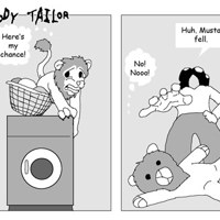 Sequence Image 3