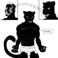 Sequence Image 4