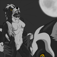 Sequence Image 5