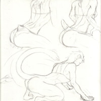 Sequence Image 4