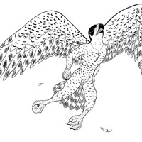 Sequence Image 5