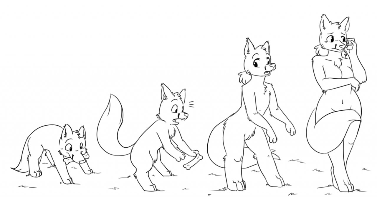 Bones to Foxes by Robertge