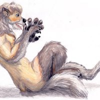 wolf TF by SK-roo