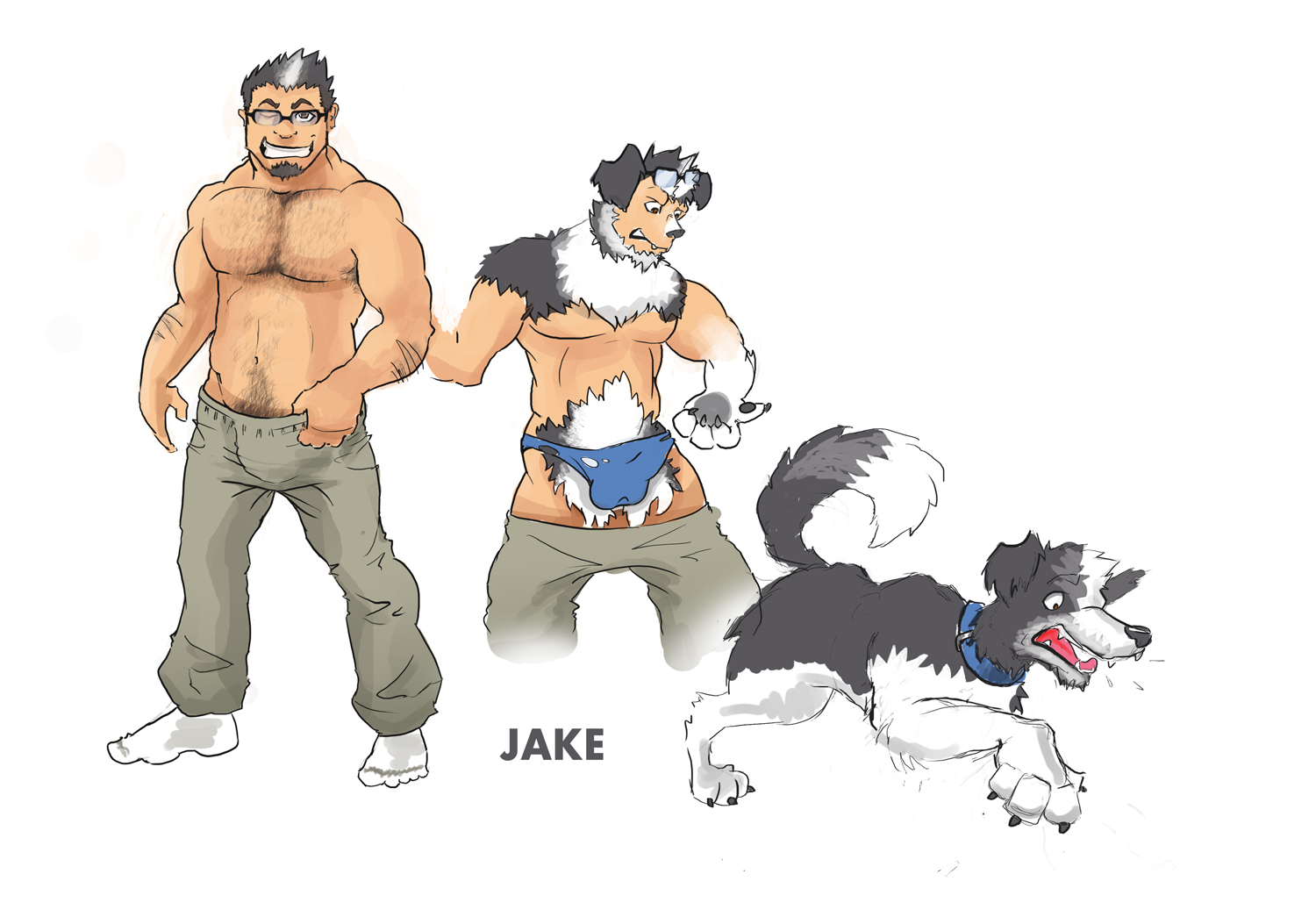 Border Collie Trade by Shadownet