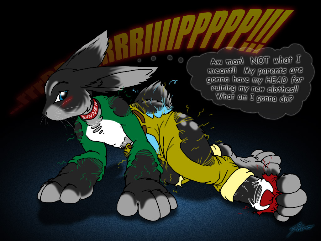 Non Anthro Bunny TF by Shiro