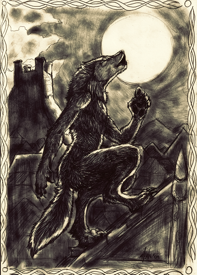 Full Moon Night by Silver557