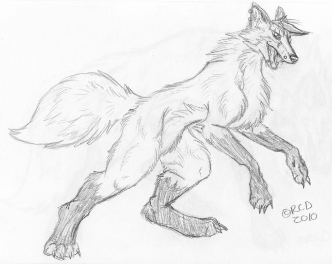 Firekregtrans by Silverhyena