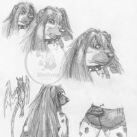 Sequence Image 5