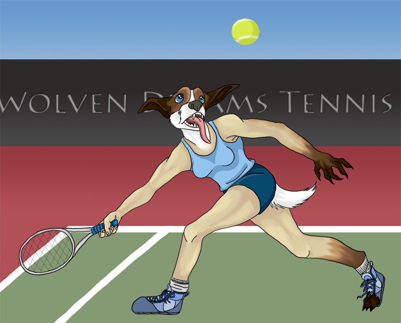 Tennis match by Skychaser