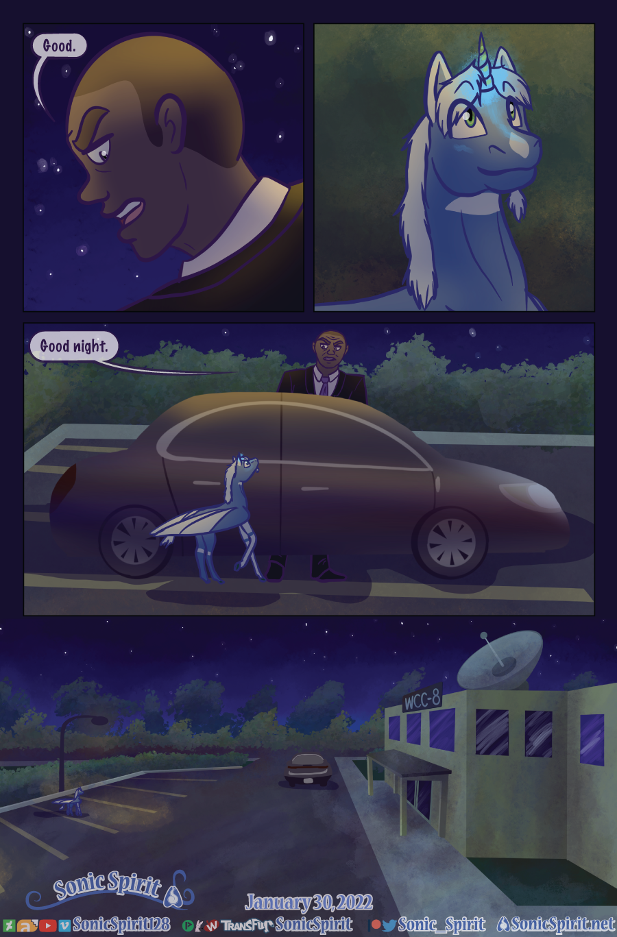 The New Normal - Issue One: Hiding by Sonicspirit