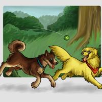 Sequence Image 5