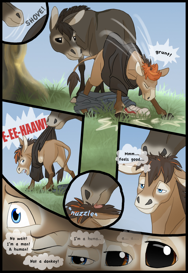donkeytf by Spirit_Pup
