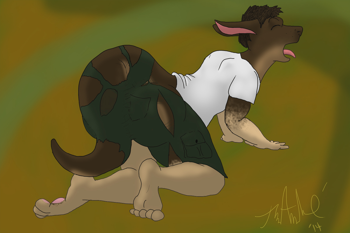 Roo Rudder by Splyced