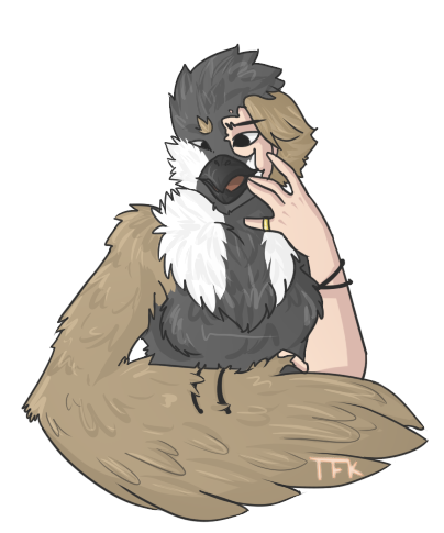 BirdTF by TFK