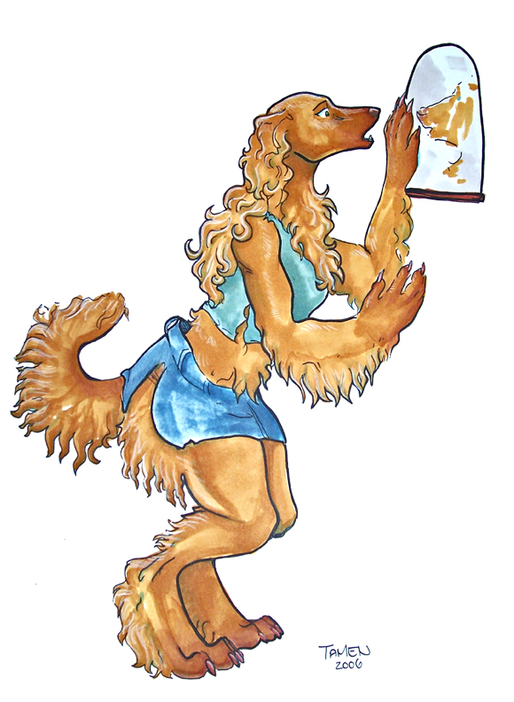 afganhound by Tamen