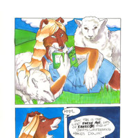 Sequence Image 5