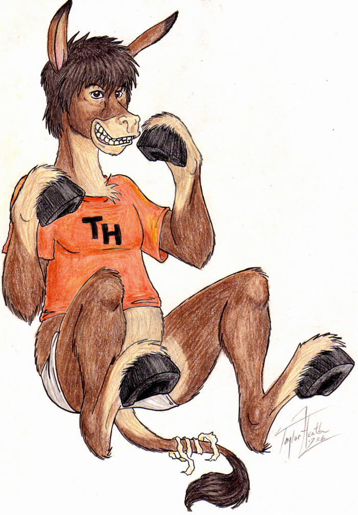 TayDonkey by TayMonkey