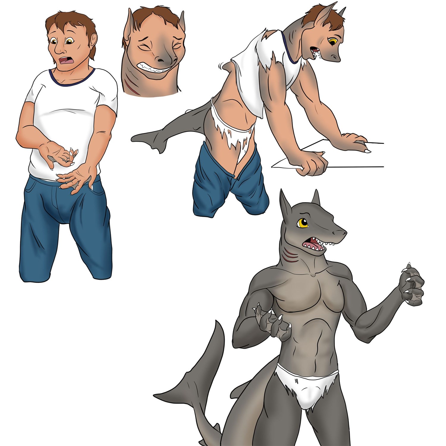Shark by Terminotaur