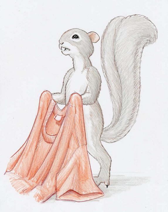 squirrelboy by Terrifel