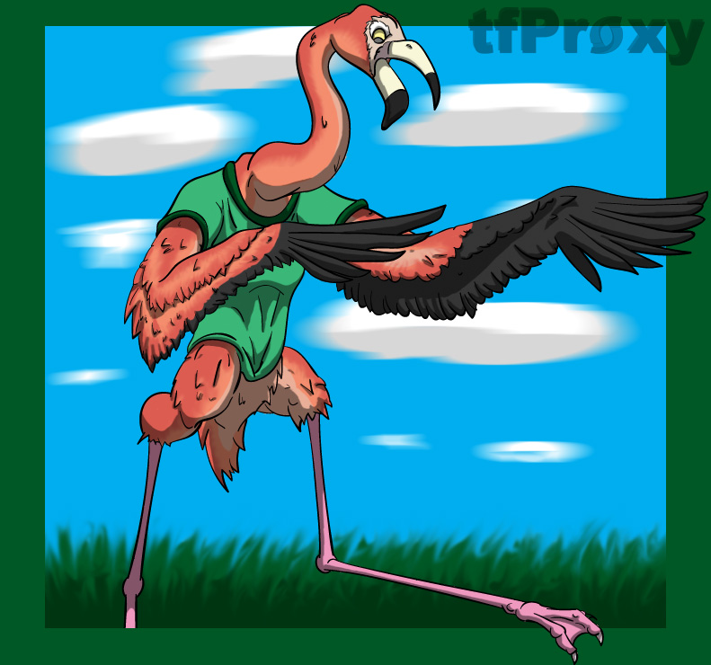 Flamingo by TfProxy