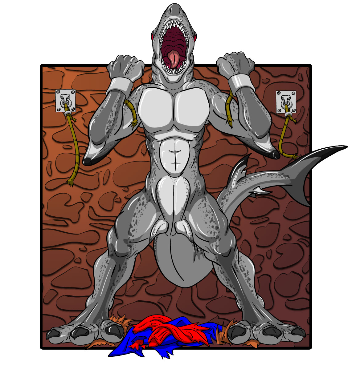 Shark by TfProxy