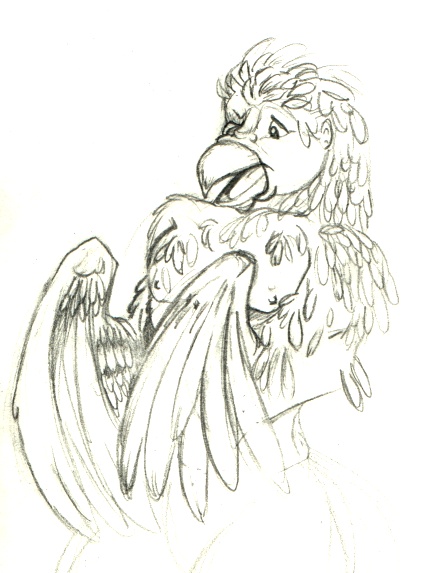 nm-birdtf by Tincrash