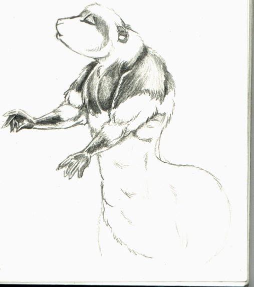 nm-ferretTF by Tincrash