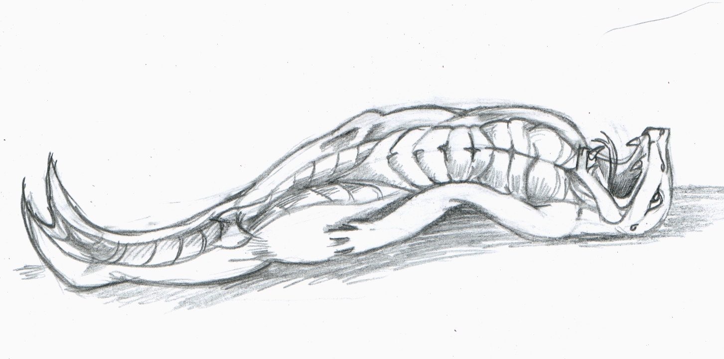 nm-snakebodyTF by Tincrash