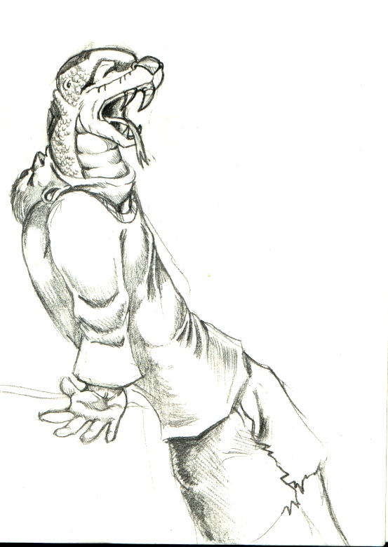 nm-snaketf by Tincrash