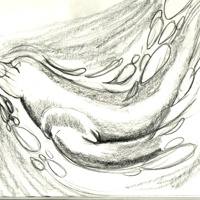 Sequence Image 8