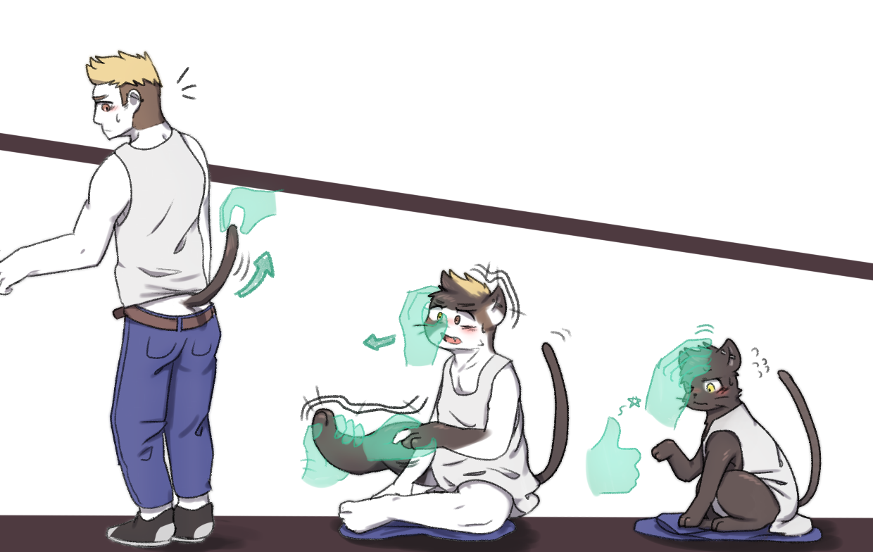 Cat TF by Sa_no