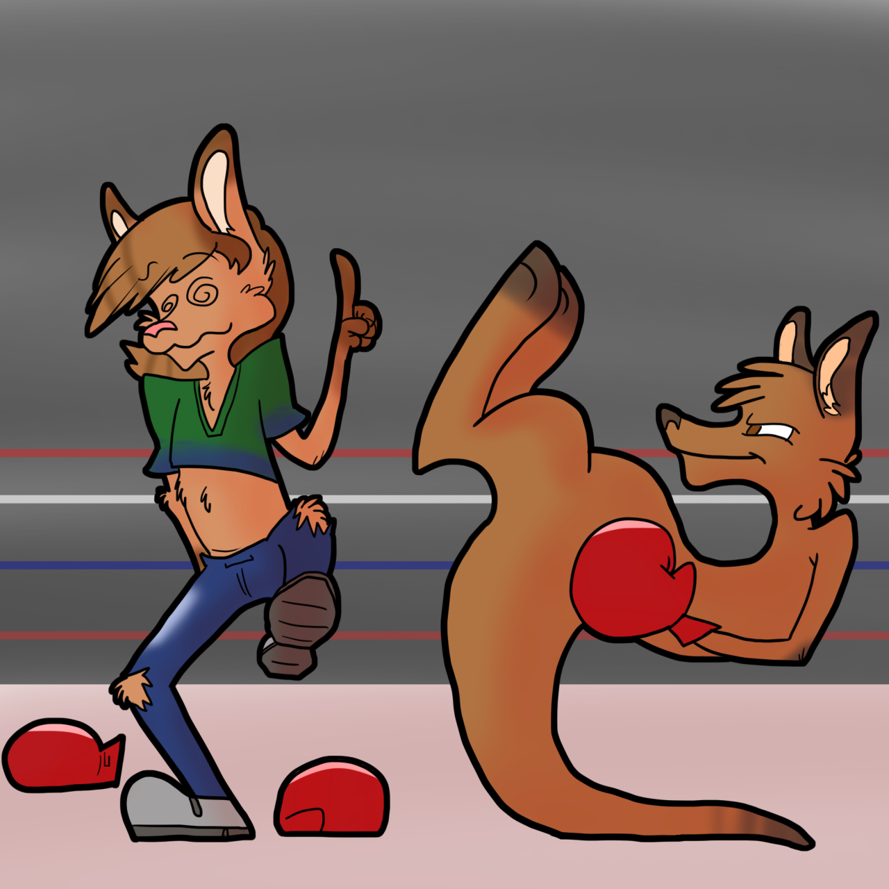 Kangaroo Boxing Match by Trevor_Fox