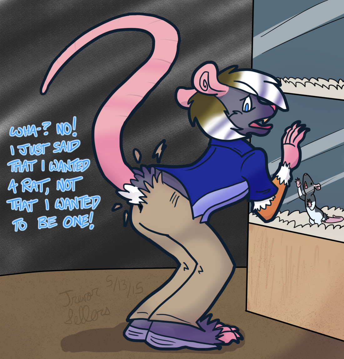 Rat Transformation At PetSmart by Trevor_Fox