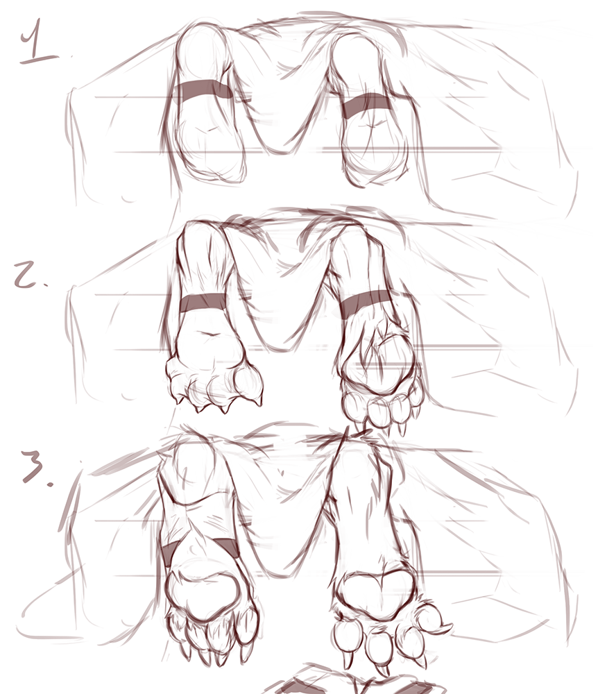 Paw TF by V