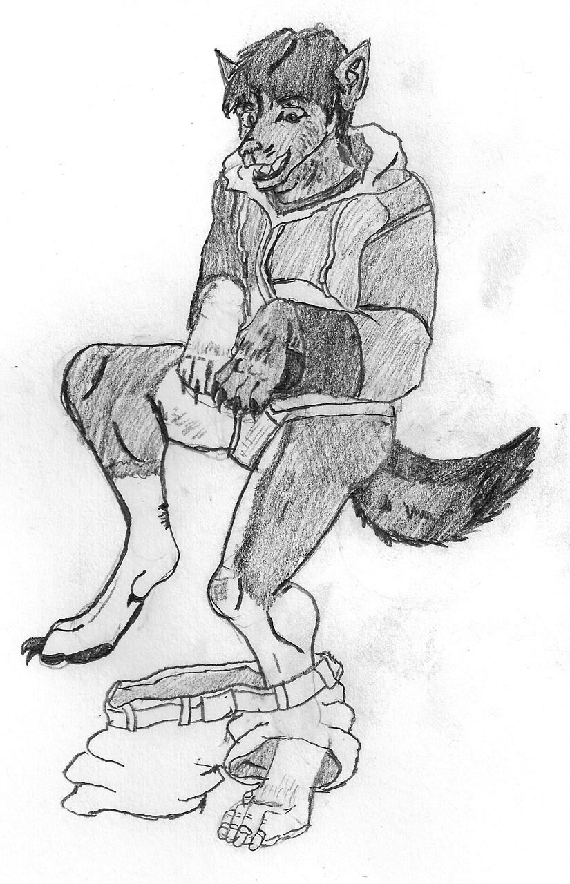 Shadowfox TF Trade by Wrathofautumn